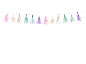 Shimmering pastel blue, green, pink, purple, white and yellow tassel garlands. Pastel party decorations for girls and boys children's party.